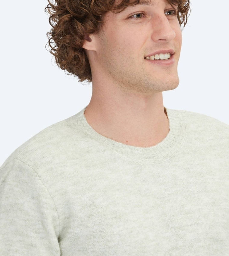Solid Crew Neck Knit Sweater