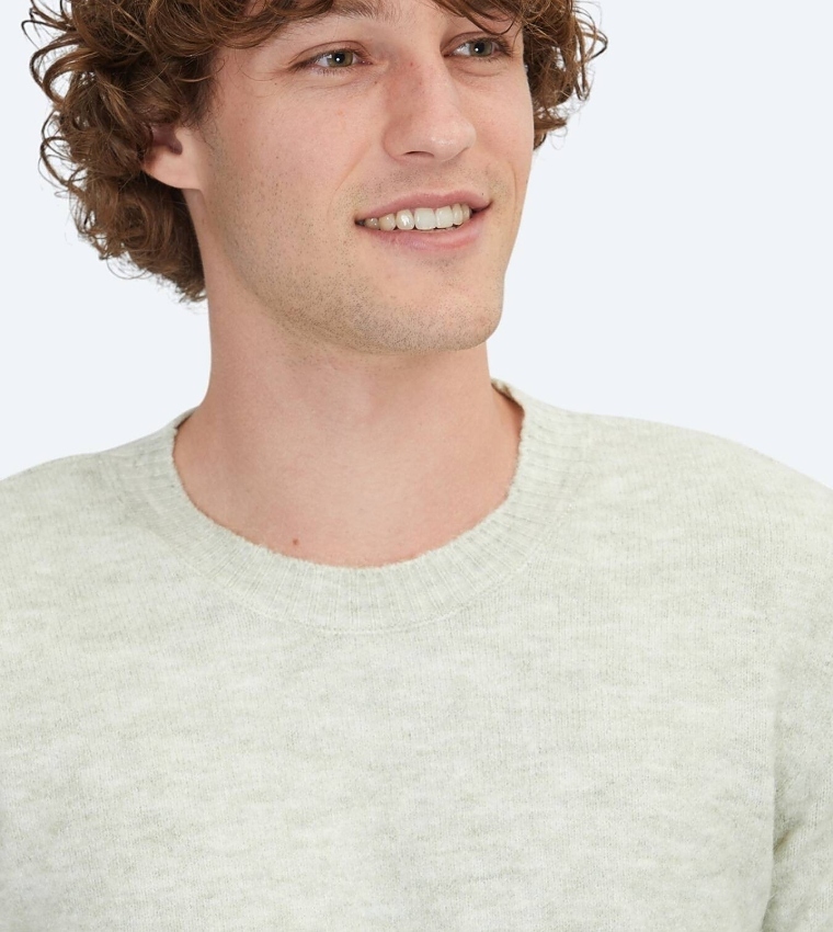 Solid Crew Neck Knit Sweater