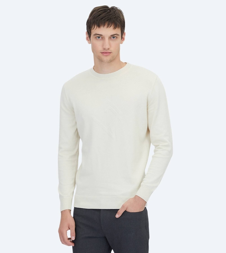 Solid Crew Neck Knit Sweater