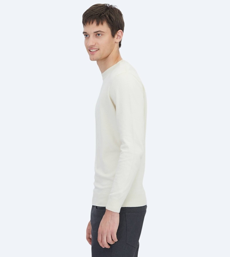 Solid Crew Neck Knit Sweater