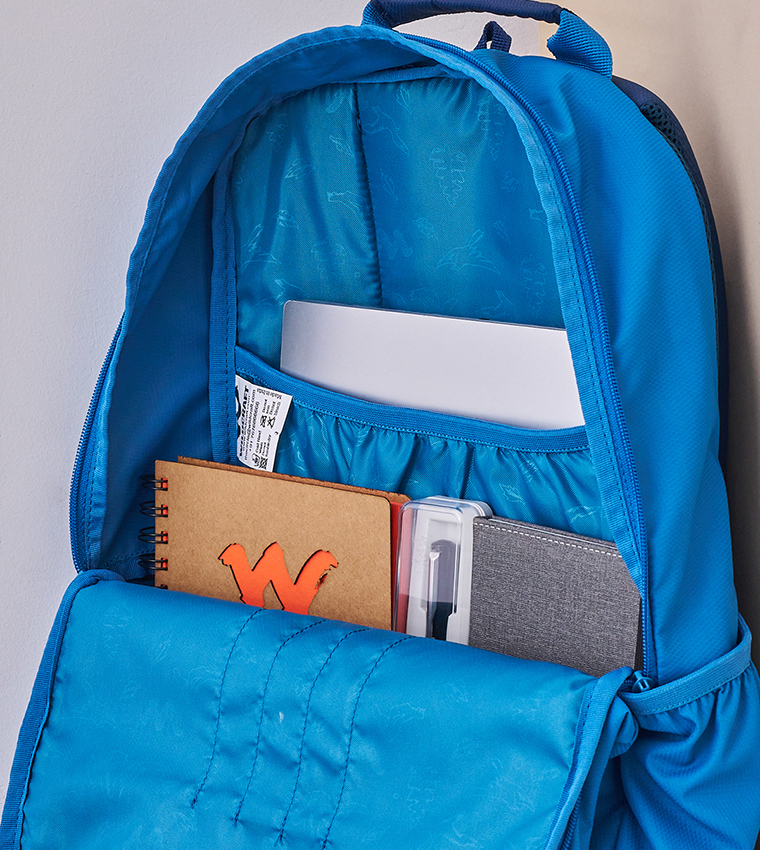 ANDES 35 HUE Color Block Backpack