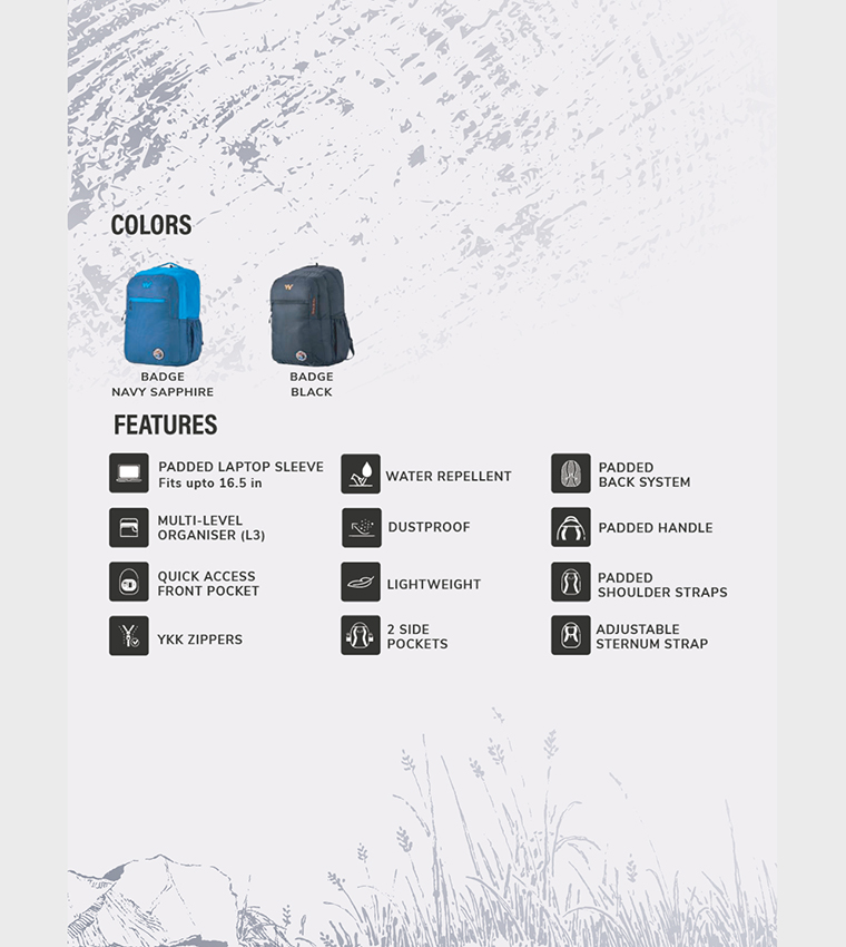 SIERRA 45 PRO BADGE Color Block Backpack