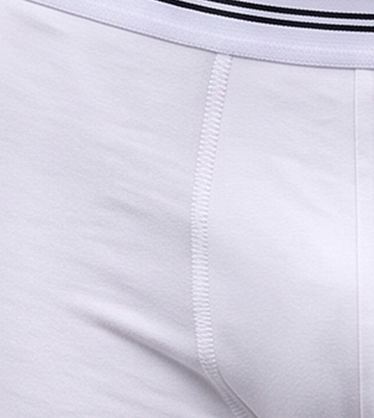 R&B  Trunks & Briefs - White Trunks & Briefs