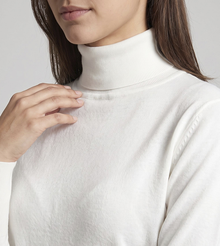 Solid Sweater with Turtleneck and Long Sleeves
