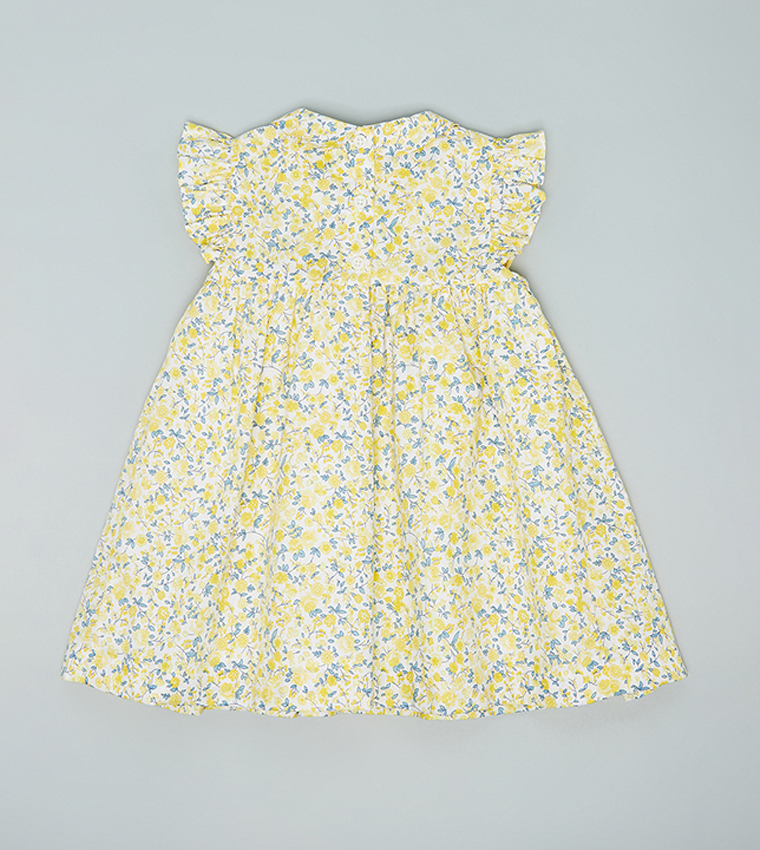 Floral Print Fit & Flare Dress with Peter Pan Collar and Flutter Sleeves