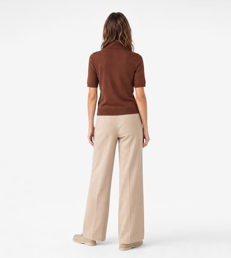 Solid Turtle Neck Short Sleeves Sweater
