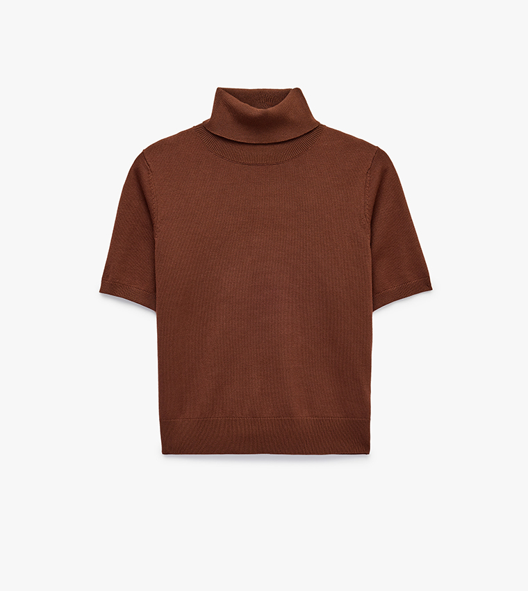 Solid Turtle Neck Short Sleeves Sweater