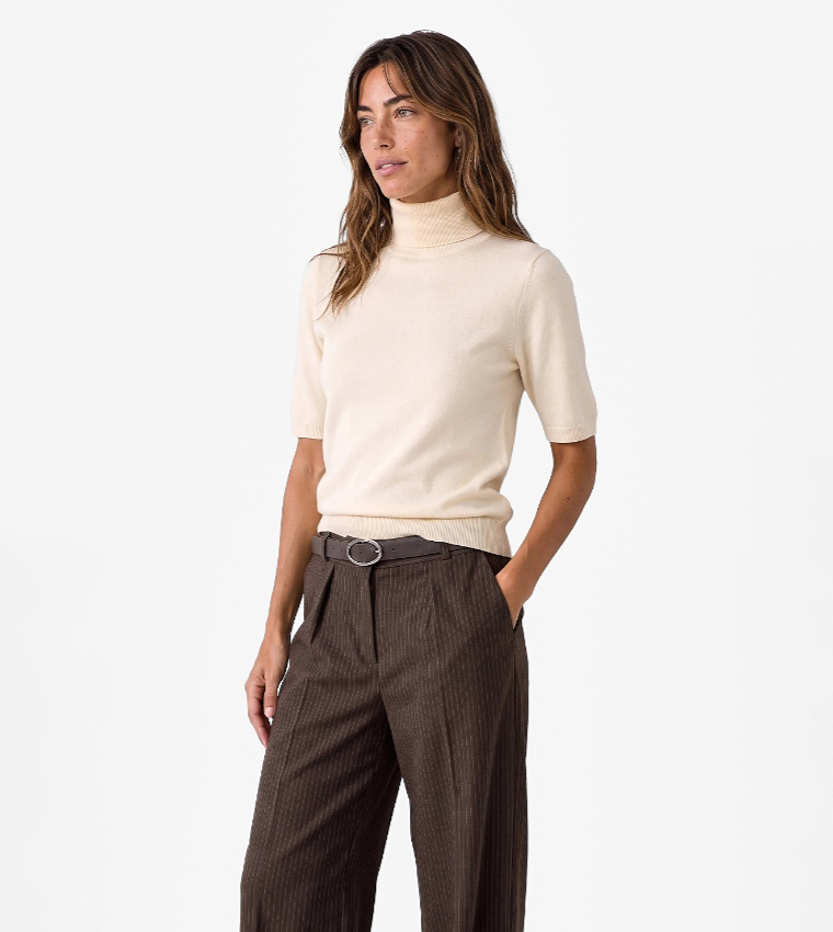 Solid Turtle Neck Sweater
