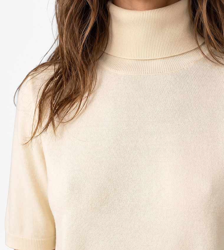 Solid Turtle Neck Sweater