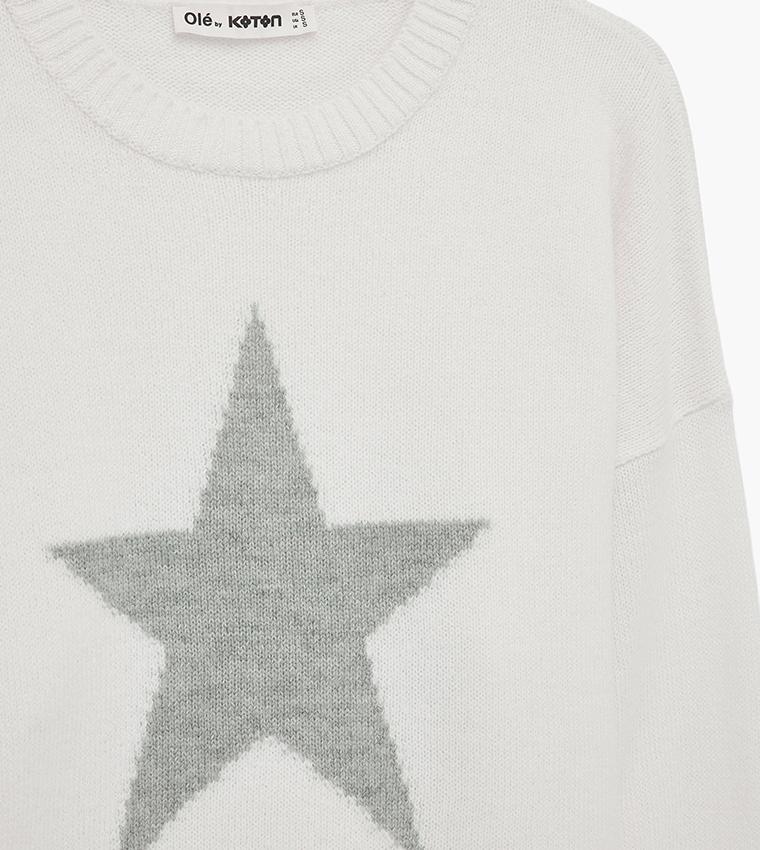 Patterned Crew Neck Oversized Sweater