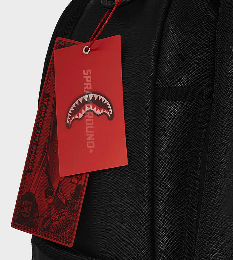 حقيبة ظهر دي ال إكس إس في فلاي نِت ماوث