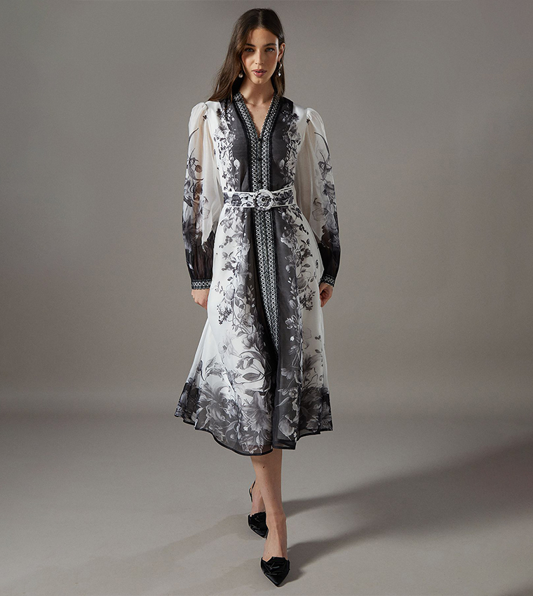 Boarder Printed Organza Shirt Dress
