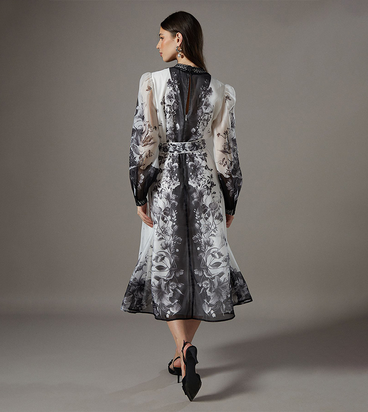 Boarder Printed Organza Shirt Dress