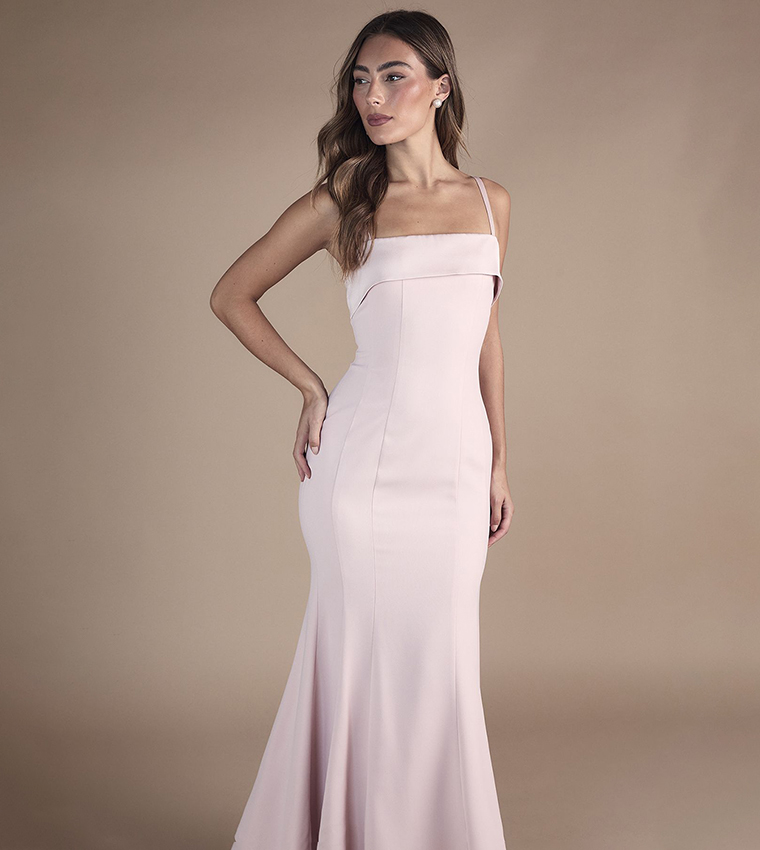 Coast  Maxi Dresses - Pink Maxi Dresses