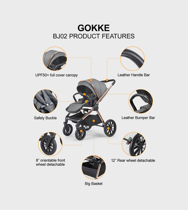 Reversible Baby Stroller with 5 Point Safety Harness, Forward & Rear Facing, Height Adjustable Handlebar, 0-36 Months, Grey and Gold - BJ02GG