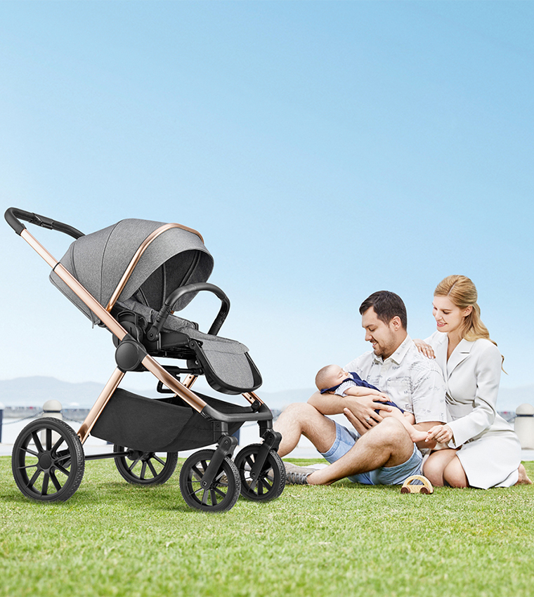 Reversible Baby Stroller with 5 Point Safety Harness, Forward & Rear Facing, Height Adjustable Handlebar, 0-36 Months, Grey and Gold - BJ02GG