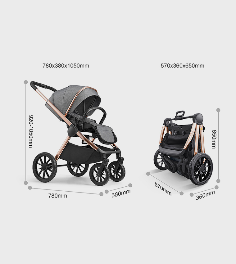 Reversible Baby Stroller with 5 Point Safety Harness, Forward & Rear Facing, Height Adjustable Handlebar, 0-36 Months, Grey and Gold - BJ02GG