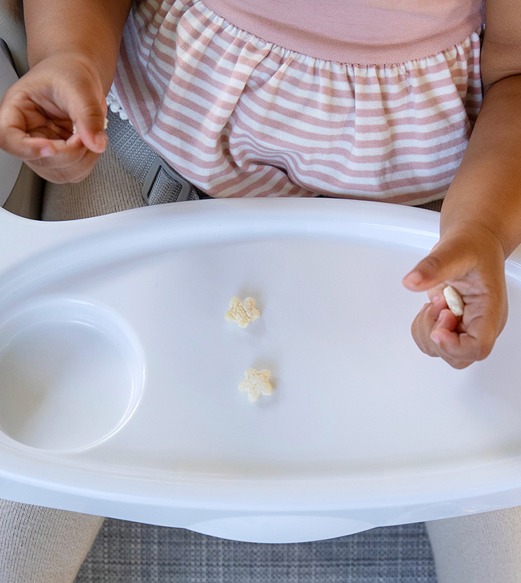 Baby Base 2-in-1 Seat - Cashmere