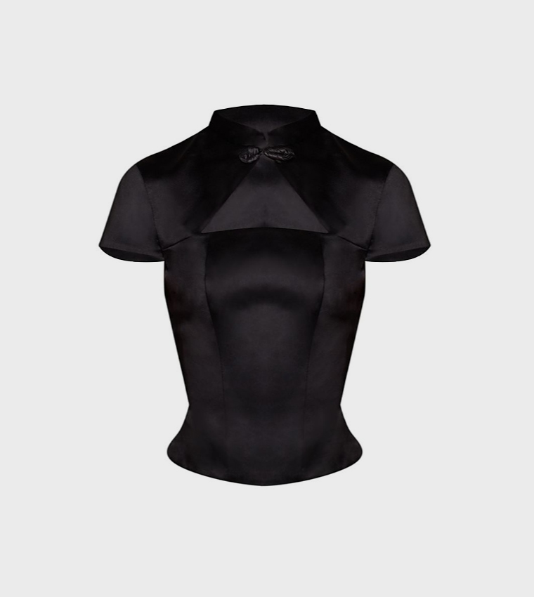 Solid Satin Short Sleeves Crop Top
