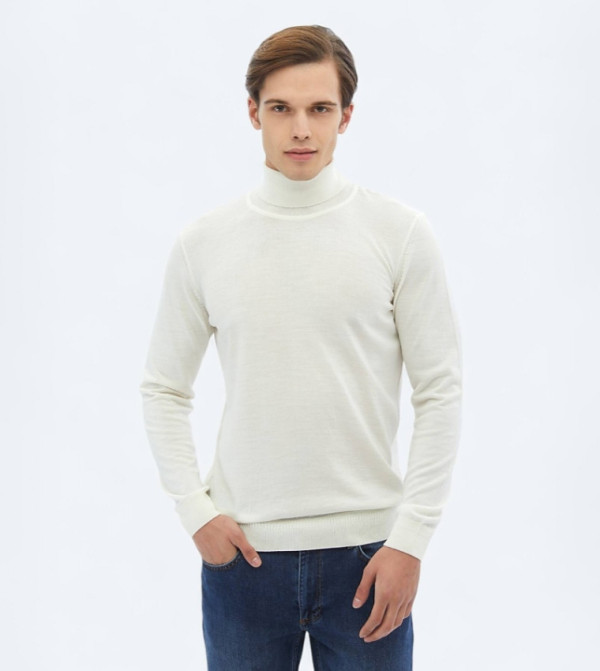 Solid Turtleneck Knit Sweater