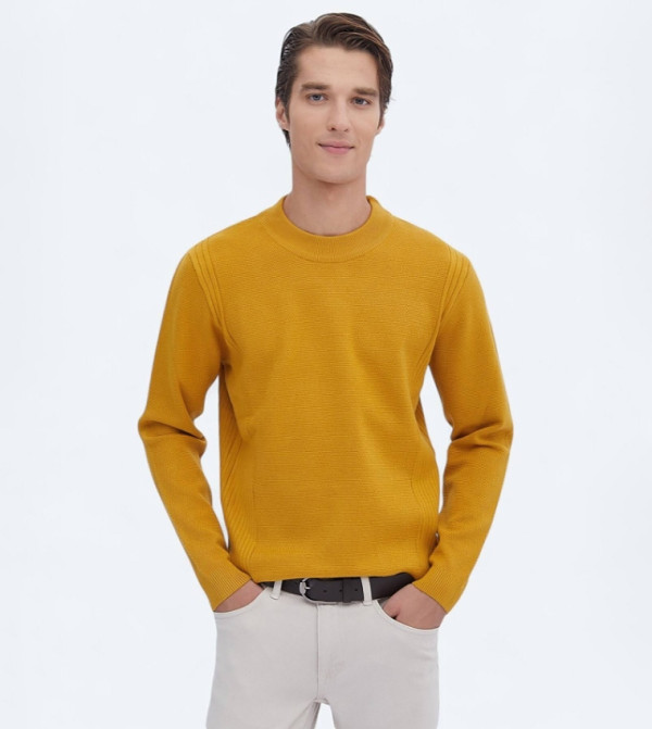 Solid Crew Neck Knit Sweater