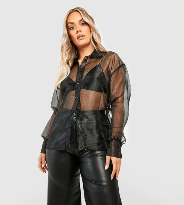 Organza Long Sleeves Shirt