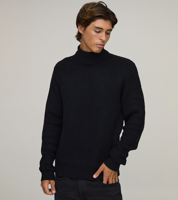Regular Fit Roll Neck Ribbed Knitted Sweater