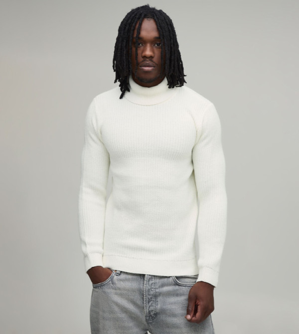 Tall Muscle Fit Ribbed Roll Neck Knitted Sweater