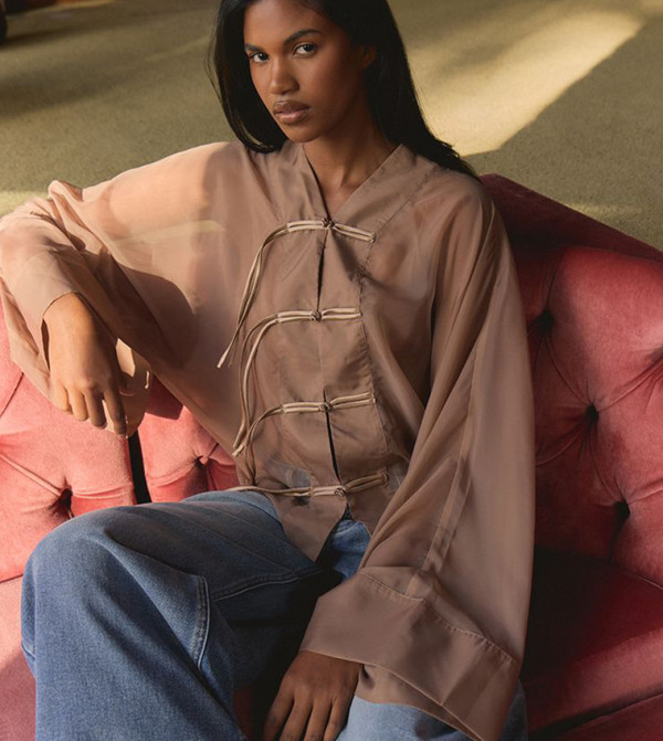 Organza Sheer Long Sleeves Top