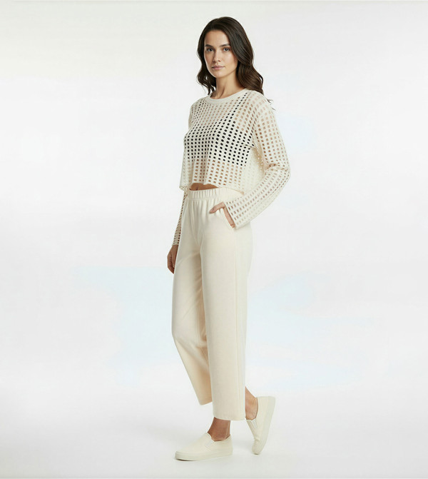 Mesh Long Sleeves Crop Sweater