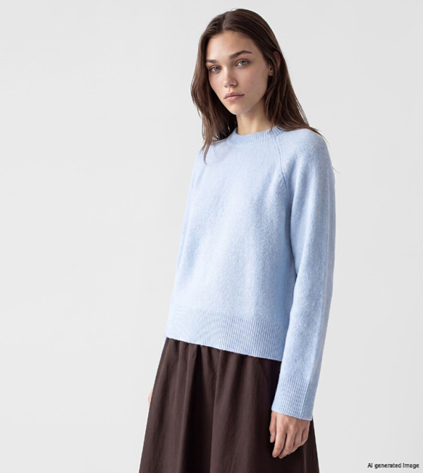 Solid Crew Neck Sweater