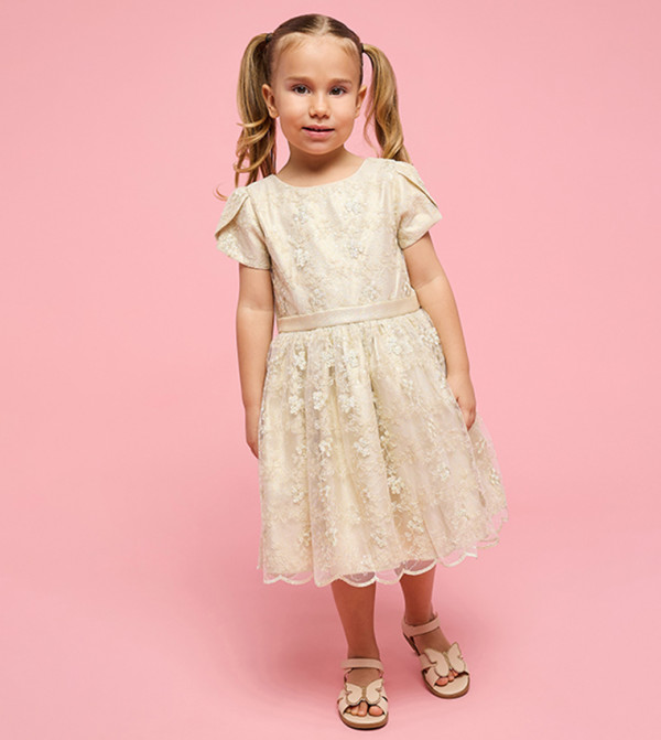 فستان مطرز كم قصيربقبة مستديرة 