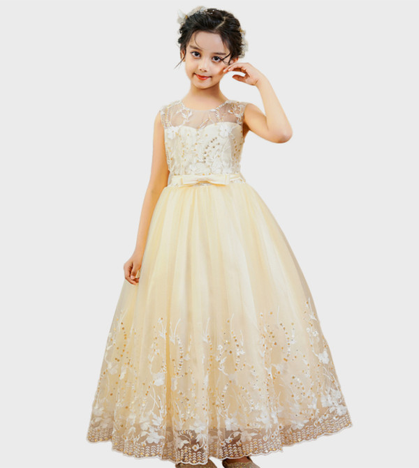 Embroidered Illusion Neck Party Gown
