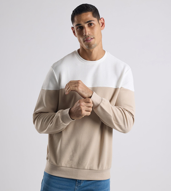 Color Block Sweatshirt with Crew Neck and Long Sleeves