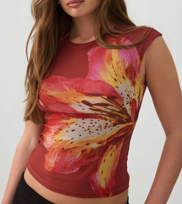Floral Print Mesh Crop Top