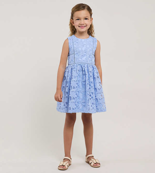 Schiffli Sleeveless Fit & Flare Dress