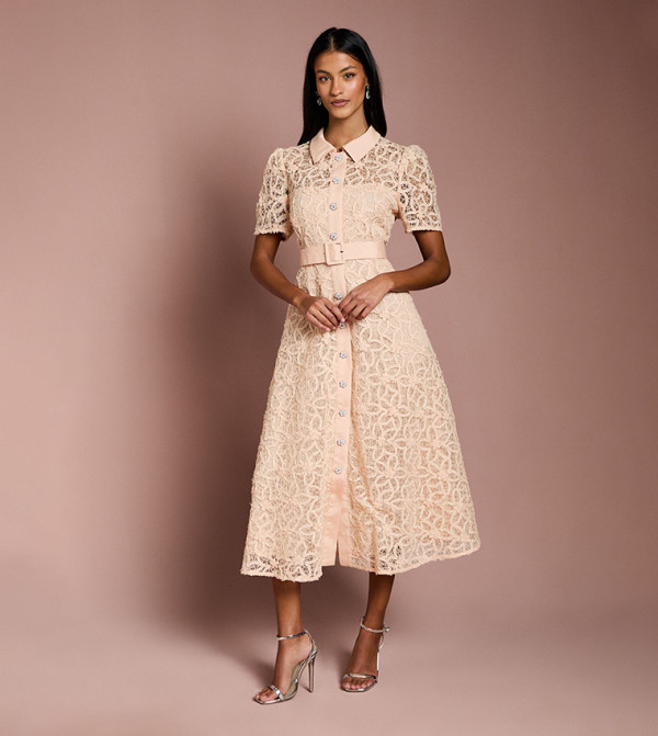 Petite Floral Lace Collared Midi Dress