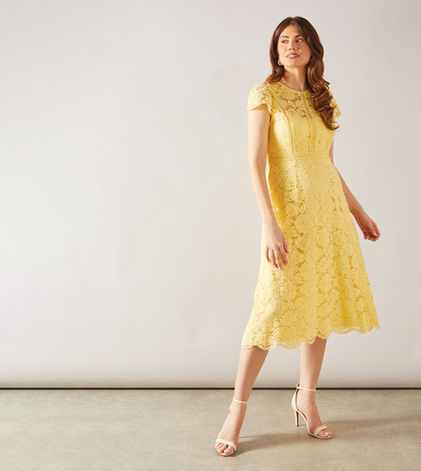 Lace Fit and Flare Midi Dress