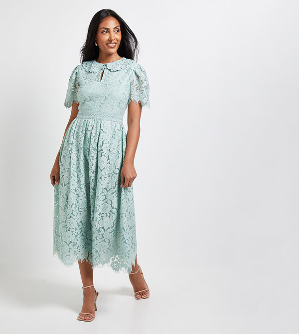 Petite Lace Collared Button Midi Dress