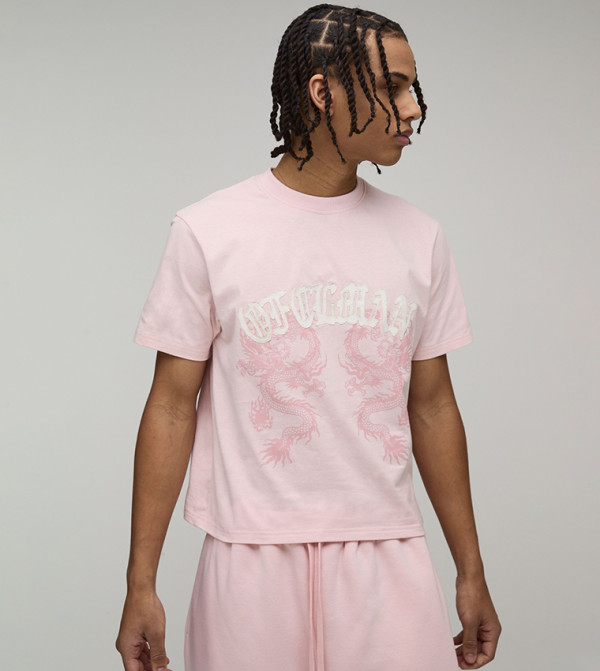 تيشيرت مغسول بتنين مطرز