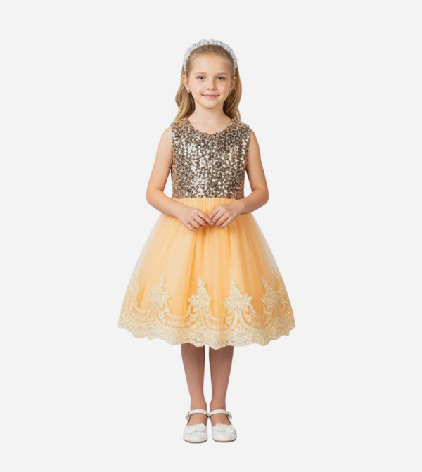 Sequins Embroidered Fit and Flare Dress