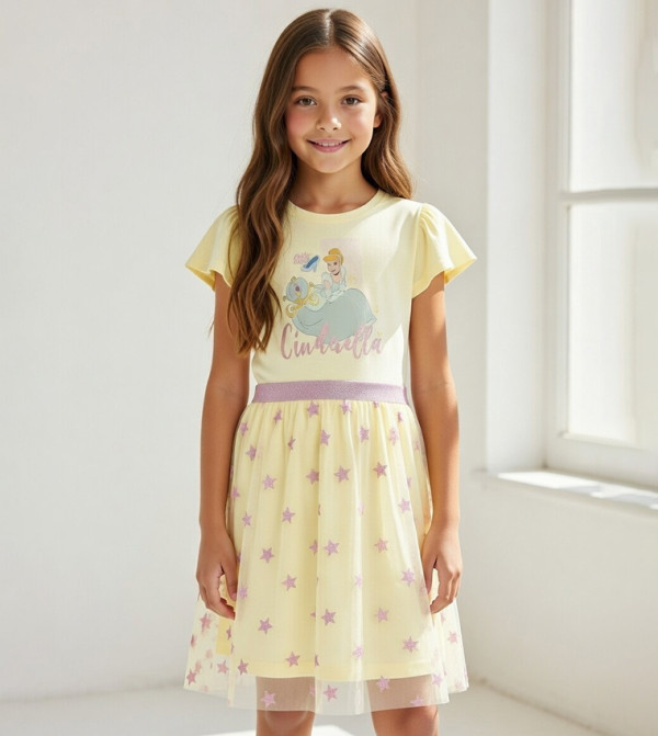 Cinderella Printed Flutter Sleeves Tulle Dress