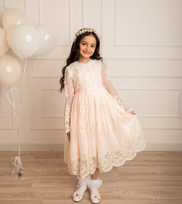 Embroidered Tulle Layered Dress