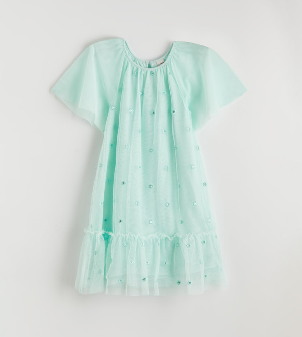 Embroidered Flutter Sleeves Tulle Mini Dress