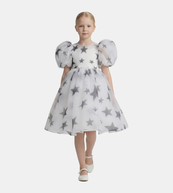 Printed Puff Sleeves Organza Dress