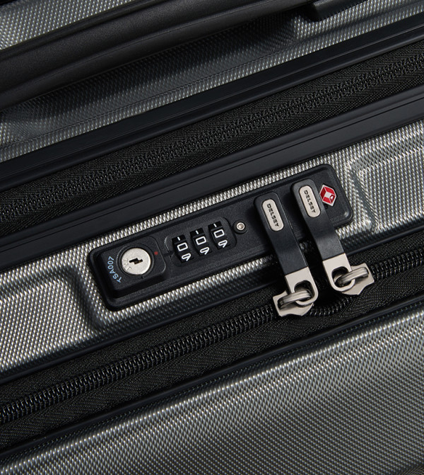 DELSEY  Trolley Bags & Luggage - Grey Trolley Bags