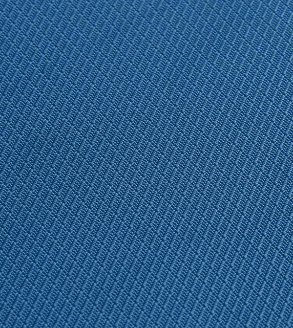 DELSEY  Trolley Bags & Luggage - Blue Trolley Bags