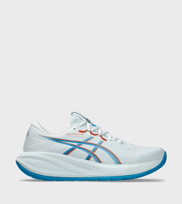 Asics  Shoes - Blue Running Shoes
