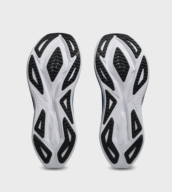 Asics  Shoes - Blue Running Shoes