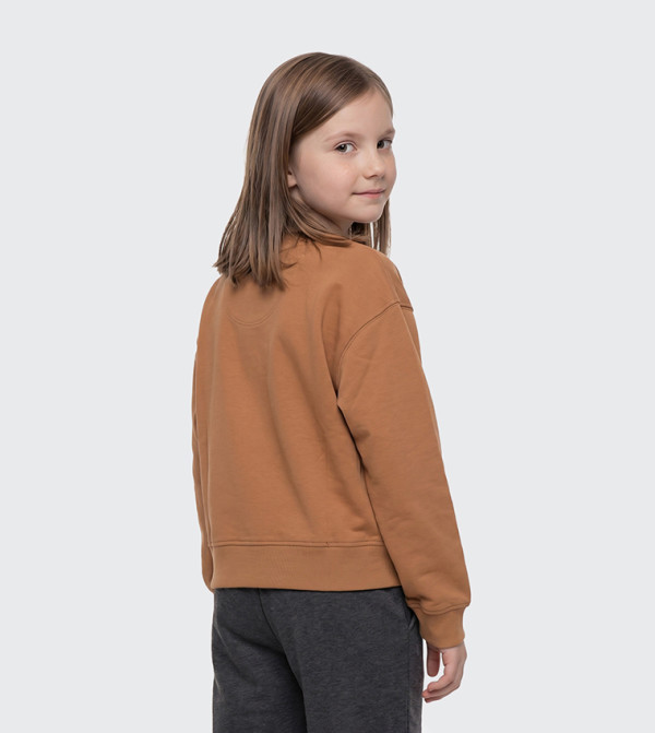 Beverly Hills Polo Club  Sweatshirts - Brown Sweatshirts